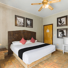 Sencilla King imagen 3